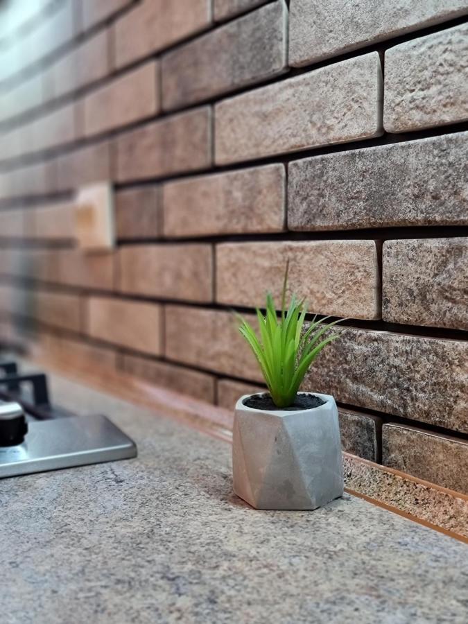 Petropavlivska Apartment Тиха Вуличка В Центрі Старого Міста Kamjanez-Podilskyj Exterior foto
